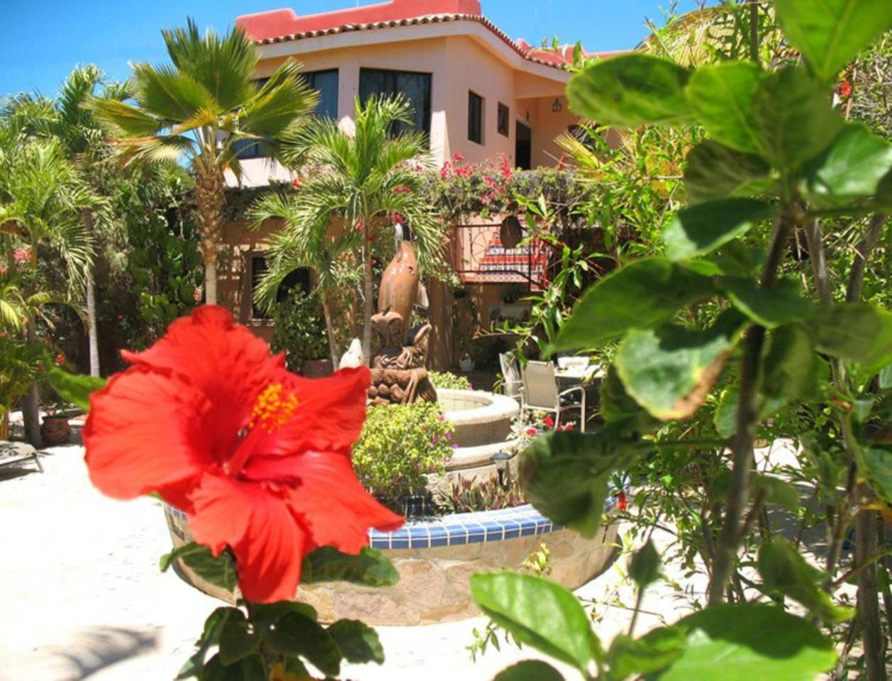 Hacienda De Palmas Bed & Breakfast La Ribera Eksteriør bilde